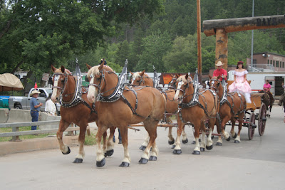  You can see many horses and carts in the Prairie pioneer days parade.