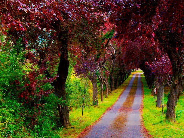 Beautiful Path Villaviciosa Asturias in Spain