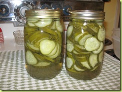pickles 03