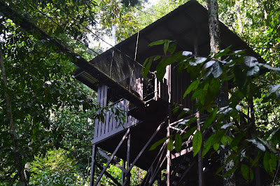 Rumah pohon menuju ke Canopy Walk