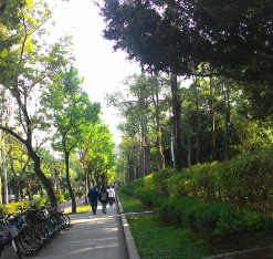亮亮說一說 大安森林公園vs中正紀念公園之1 亮亮說一說 大安森林公園vs中正紀念公園之1