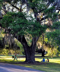 Wanderlusting in New Orleans, Spring 2014