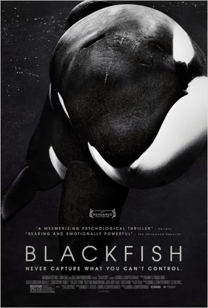 Blackfish: Fúria Animal – Dublado