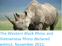 http://sciencythoughts.blogspot.co.uk/2011/11/western-black-rhino-and-vietnamese.html