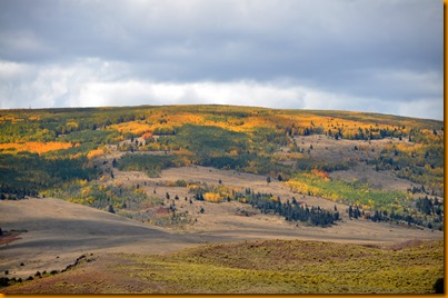 DSC_0029