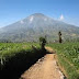 Wisata Gunung Cikuray