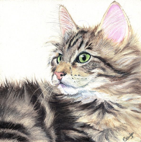 FUR IN THE PAINT Tabby Cat in Oil Pastel
