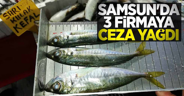 samsunda 3 firmaya ceza kesildi