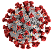 Coronavirus essay less than 200 word in Hindi - कोरोना वायरस पर 200 शब्दों में निबंध, Hindi Read Duniya