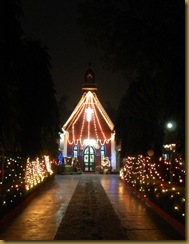 DSCN6754