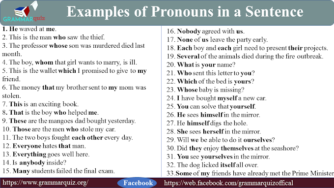30+ Examples of Pronouns in a Sentence