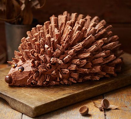 Hedgehog cake. A celebration cake with a touch of woodland style, this chocolate cake is decorated with edible spikes, buttercream and chocolate details. @lesliewride For henry's birthday.