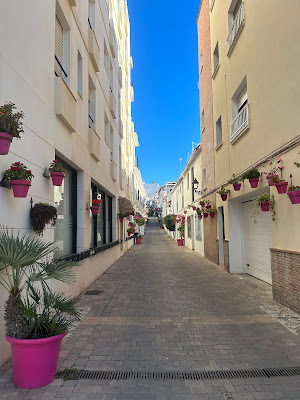 Picture of a street in Estepona