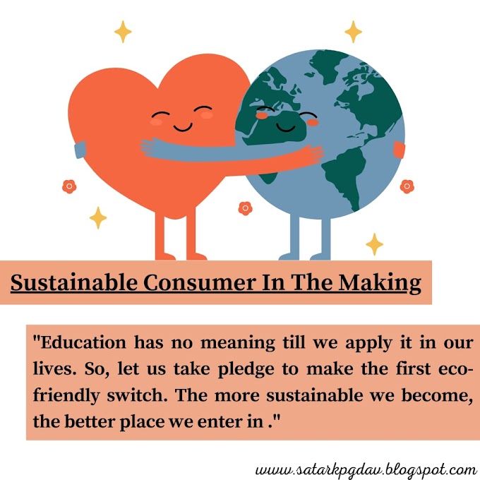 Sustainable Consumer In The Making