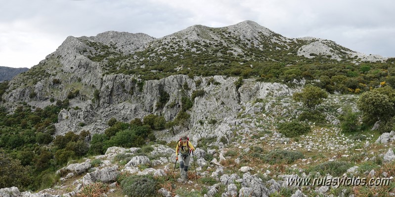 Nueve picos de la Sierra del Endrinal