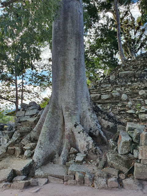 Copan Ruinas Honduras