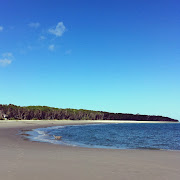 Not another person on the beach. Just me & Ned.pure bliss. (me )