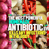 Best Homemade Antibiotic Ever - Kills Any Infections in the Body