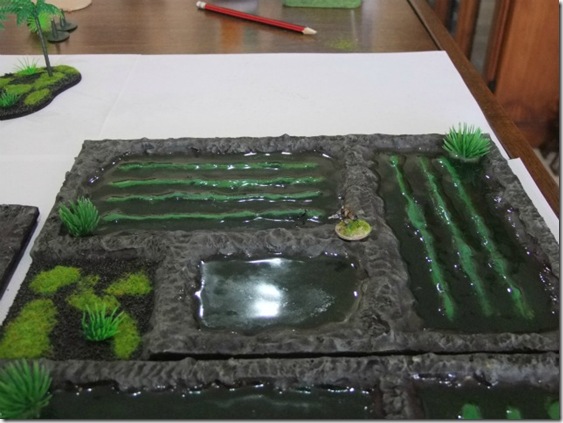 rice paddy 2