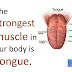 Which is the strongest muscle in our body..?