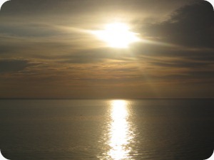 IMG_3082
