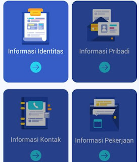 app pinjol lion tek apk