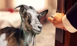  Αυτά τα παράξενα στους περισσότερους ειναι φυσιολογικά επειδή έτσι έχουν μάθει να ζουν  την σύντομη ζωή τους, ενώ ειναι σαν πας κάπου και α...