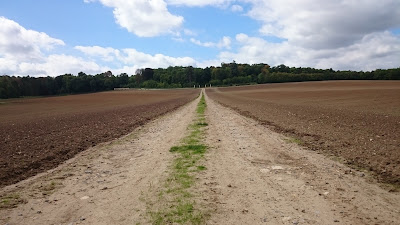 Long chemin jusqu'à l'entrée du Château de Toussicourt