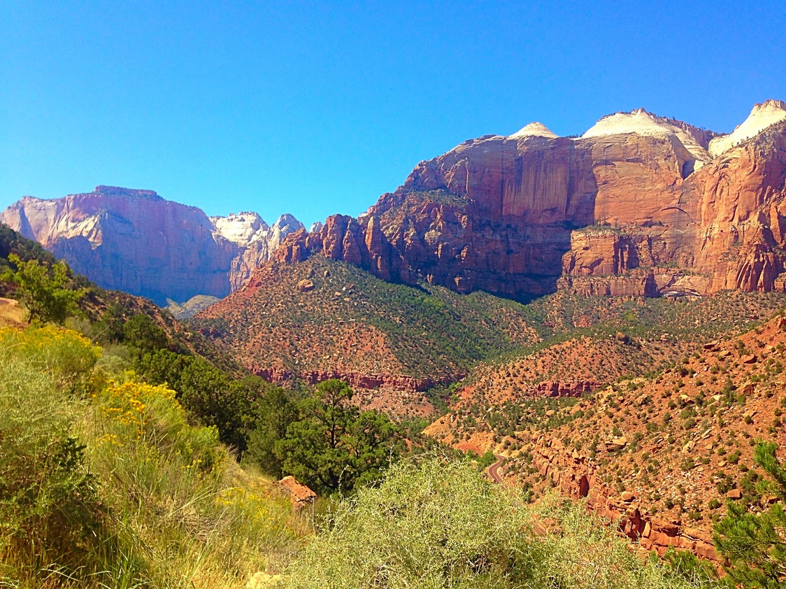 Zions National Park