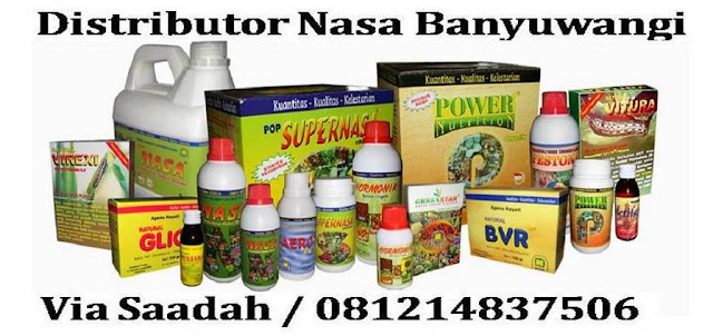 banyuwangi-siti-mariyatul-distributor-nasa-natural-nusantara-agen-stokist-jual-beli-pupuk-organik-kesehatan-kecantikan-nasa-natural-nusantara