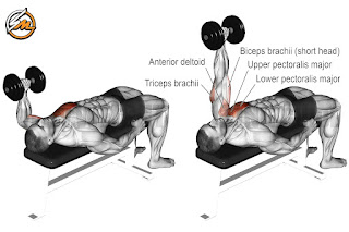 Pump Up Your Chest with the Best Dumbbell Exercises!