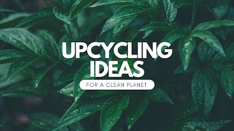 4 Ιδέες Ανακύκλωσης Για Καθαρό Πλανήτη (Upcycling)