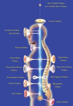 Clinical Family Health and Medicine