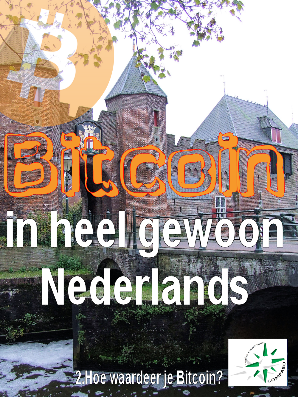 Ga naar deel 2, de waardering van Bitcoin