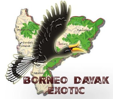 Borneo Dayak Exotic