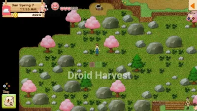 Harvest Moon: Light of Hope Graphics Review