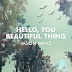 Jason Mraz – Hello, You Beautiful Thing (2014) [iTunes Plus AAC M4A] 