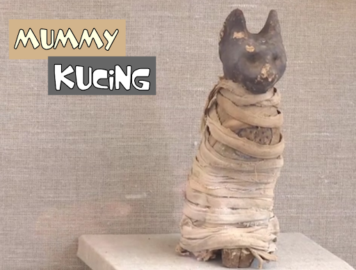 Mummy Kucing