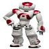 NAO Humanoid