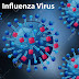 Flu (Influenza) Vaccine  /   காய்ச்சல் (காய்ச்சல்) தடுப்பூசி