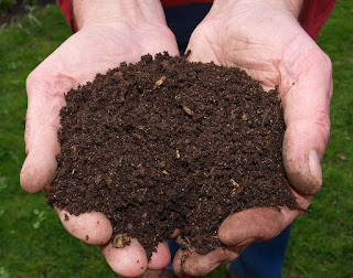 iComposteur gives you humus, not compost, not rotten food, not dry grounded carbon.
