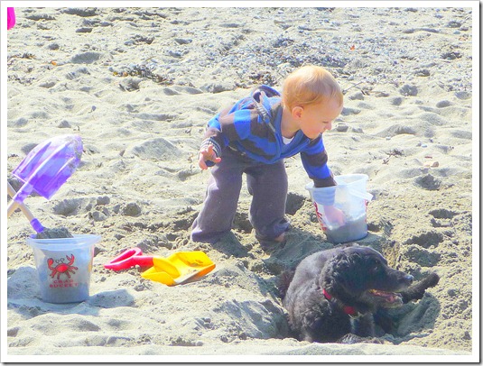 Boy and dog in sand