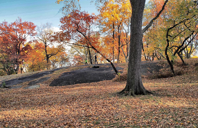 Follow the Leader, #fallfoliage, #fallcolors, Central Park, NYC