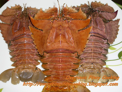 Pitik, Slipper Lobsters