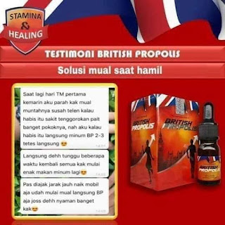 british propolis cikarang