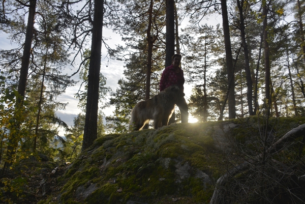 bjertnes gruve noresund bukkåsen