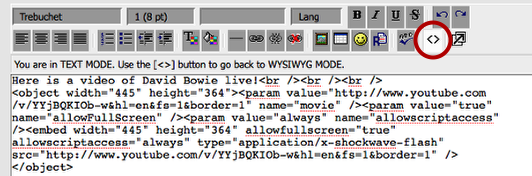 Pasting_the_Code.png