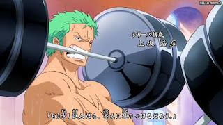 ワンピースアニメ パンクハザード編 OPテーマ 16 | ONE PIECE HANDS UP! 新里宏太