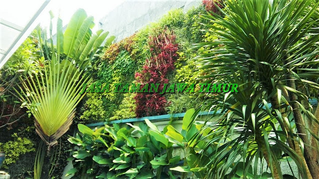 JASA TUKANG TAMAN VERTICAL SURABAYA, JASA PEMBUATAN VERTICAL GARDEN SURABAYA, JASA VERTICAL GARDEN SURABAYA BARAT, SURABAYA UTARA, SURABAYA TIMUR, SURABAYA SELATAN,  JASA PEMBUATAN TAMAN DINDING SURABAYA, JASA PEMBUATAN GREEN WALL SURABAYA, JASA PEMBUATAN ARTICIAL PLANT SURABAYA, JASA PEMBUATAN TAMAN VERTICAL GARDEN SINTETIS SURABAYA, HARGA PEMBUATAN VERTICAL GARDEN DI SURABAYA, GAMBAR VERTICAL GARDEN SURABAYA, KONSEP VERTICAL GARDEN SURABAYA, JASA TUKANG TAMAN VERTICAL GARDEN MURAH DI SURABAYA, JASA PEMBUATAN VERTICAL GARDEN INDOOR, JASA PEMBUATAN VERTICAL GARDEN OAUTDOOR, segera hubungi kami untuk mendapatkan pelayanan terbaik, roof garden murah, roof garden design, roof garden minimalis, roof garden sederhana, roof garden detail, roof garden medan, roof garden semarang, drainasecell roof garden, versicel roof garden, roof garden indonesia, roof garden jakarta, roof garden system, roof garden, roof garden adalah, drainasecell, versicell, alat roof garden, cara membuat roof garden, peralatan roof garden, roof top, top roof garden, taman dak atas, cara membuat taman dak, taman atap roof garden, taman roof garden, roof garden apartment, tukang taman vertikal, vertikal garden murah, vertikal garden sederhana, vertikal garden jakarta, tukang taman vertical, vertical garden murah, vertical garden sederhana, vertical garden jakarta, tukang taman vertikal di cibubur, tukang taman vertikal bintaro, tukang taman vertikal tangerang, tukang taman vertikal jakarta, tukang taman vertikal serpong, tukang taman vertikal jakarta , tukang taman vertikal bekasi, tukang taman vertikal di bintaro, tukang taman vertikal semarang, tukang taman vertikal pekalongan, tukang taman vertikal batang, tukang, taman vertikal cirebon, tukang taman vertikal karawang, tukang taman vertikal surabaya, tukang taman vertikal solo, tukang taman vertikal yogyakarta, tukang taman vertikal bali, tukang taman vertikal medan, tukang taman vertikal batam, tukang taman vertikal jakarta timur, tukang taman vertikal jakarta pusat, tukang taman vertikal jakarta selatan, tukang taman vertikal jakarta barat, tukang taman vertikal jakarta utara, tukang taman vertikal tangerang, tukang taman vertikal serpong, tukang taman vertikal perumahan, tukang taman vertikal murah, tukang taman vertikal kalimantan, tukang taman vertikal makssar, tukang taman vertikal papua, tukang taman vertikal Lombok, vertikal sederhana, taman vertikal paralon, taman vertikal jakarta, taman vertikal pdf, taman vertikal dari botol bekas, taman vertikal murah, taman vertikal rumah minimalis, taman vertikal adalah, taman vertikal dalam rumah, taman vertikal, taman vertikal minimalis, taman vertikal anggrek, taman vertikal botol, taman vertikal di bandung, taman vertikal menggunakan botol bekas, taman vertikal dari batu bata, biaya taman vertikal, buat taman vertikal, contoh taman vertikal, cara taman vertikal, contoh taman vertikal garden, taman vertikal di rumah, taman vertikal di lahan sempit, taman vertikal di dinding, taman vertikal dinding, taman vertikal dengan paralon, taman vertikal depok, fungsi taman vertikal, foto taman vertikal, taman vertikal garden, taman gantung vertikal, gambar taman vertikal minimalis, cara membuat taman vertikal garden, gambar taman vertikal, griya taman vertikal, desain taman vertikal garden, taman vertikal hidroponik, taman vertikal harga, harga taman vertikal murah, taman vertikal indonesia, taman vertikal indoor, taman vertikal italia, ide taman vertikal