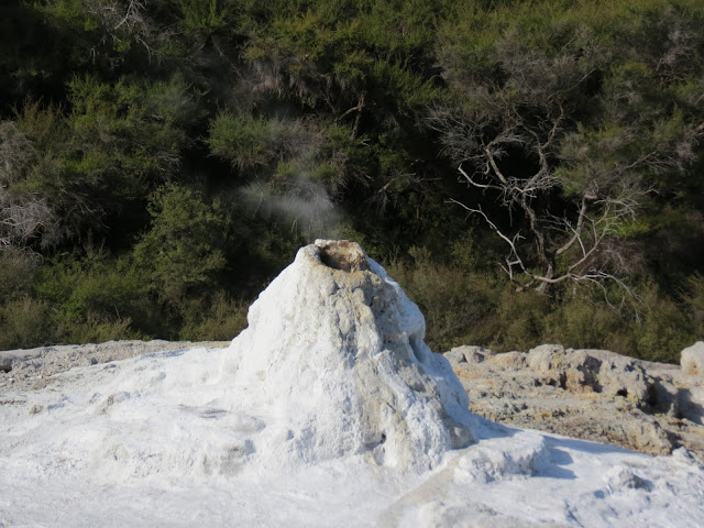 rotorua, new zealand, wai o tapu, hotspring